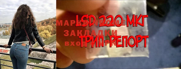 a pvp Абаза