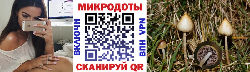 Псилоцибиновые грибы Magic Shrooms  Норильск 