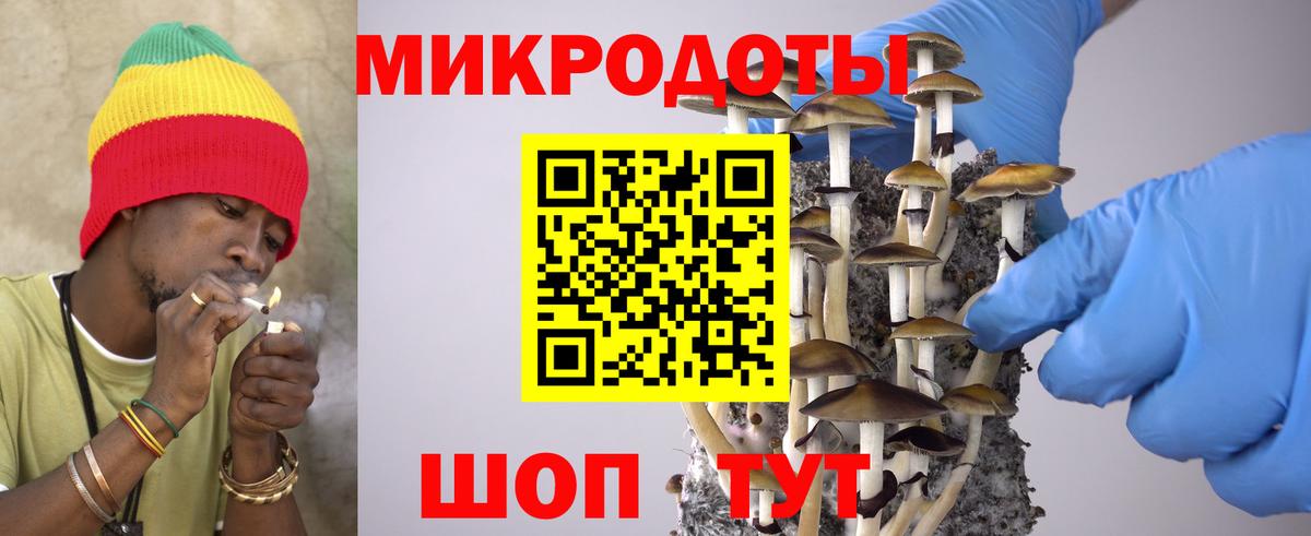 Норильск  Псилоцибиновые грибы мухоморы  Вход с VPN 
